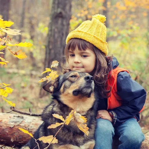 On a fall hike, little girl takes a break on a log and rests her chin on the top of her dog's head.