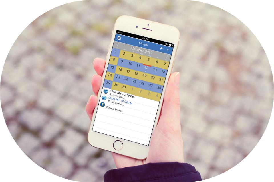 Woman holding phone looking at parenting schedule