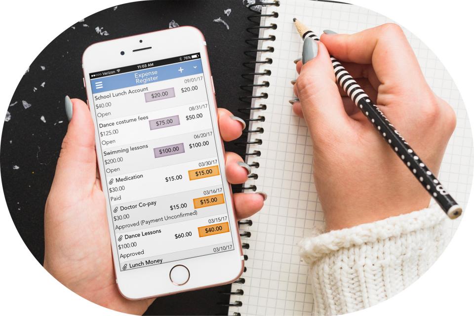 Viewing expenses on mobile