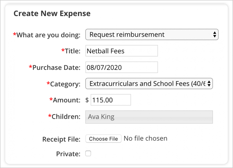 Co Parenting Shared Expenses Template